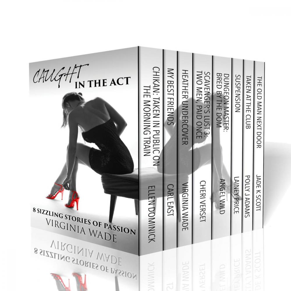 Big bigCover of Caught in the Act - Eight Sizzling Stories of Passion