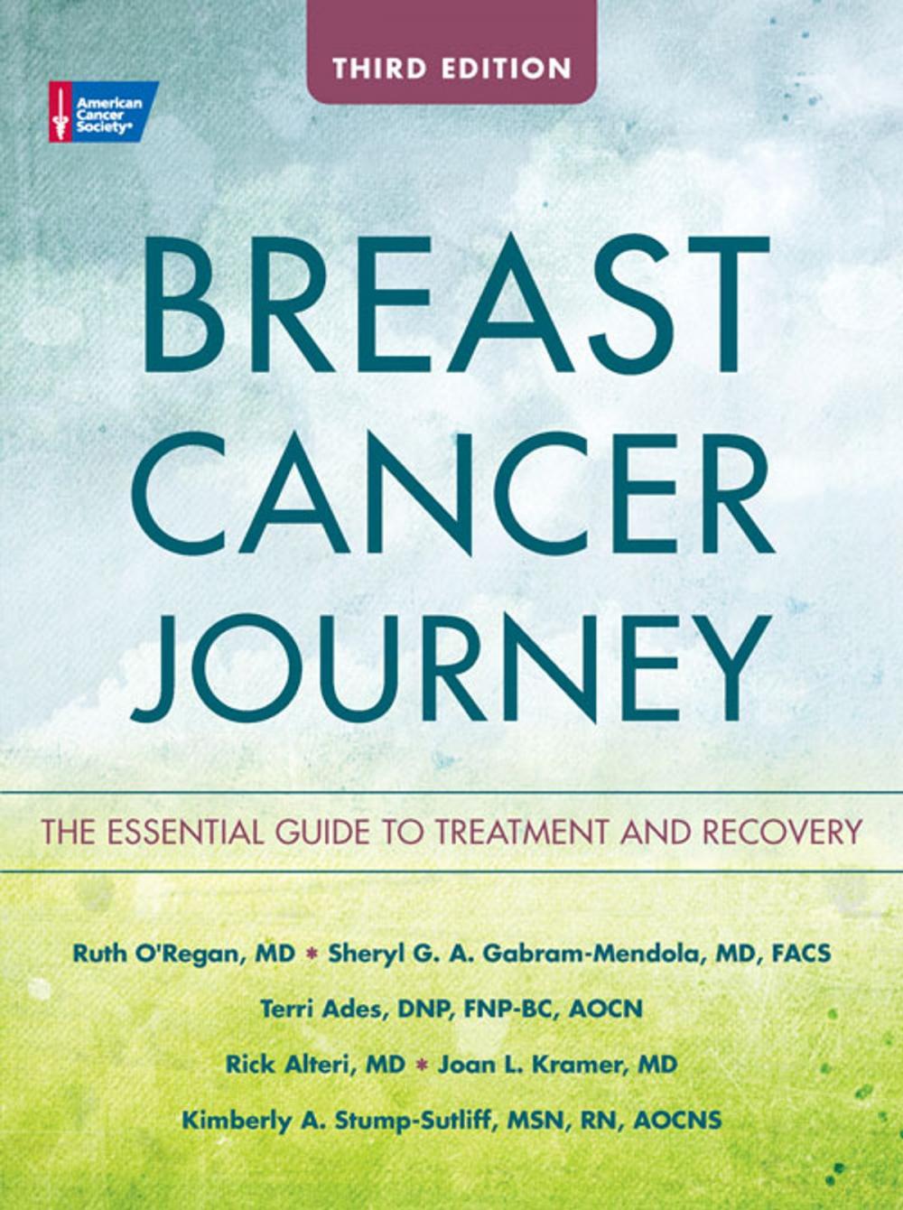 Big bigCover of Breast Cancer Journey