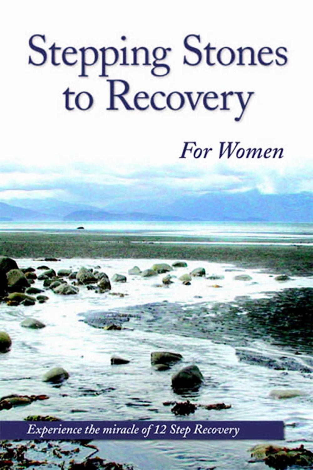 Big bigCover of Stepping Stones To Recovery For Women