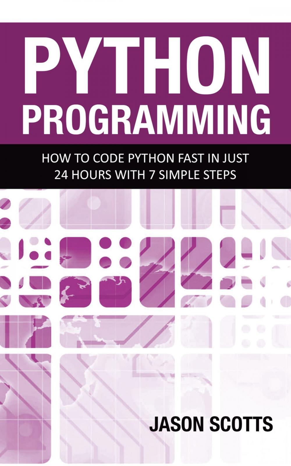 Big bigCover of Python Programming : How to Code Python Fast In Just 24 Hours With 7 Simple Steps