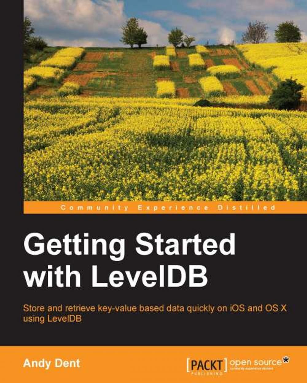 Big bigCover of Getting Started with LevelDB