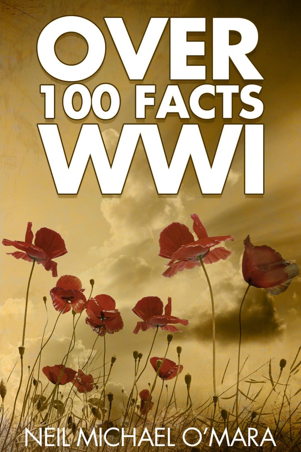 Big bigCover of Over 100 Facts WW1