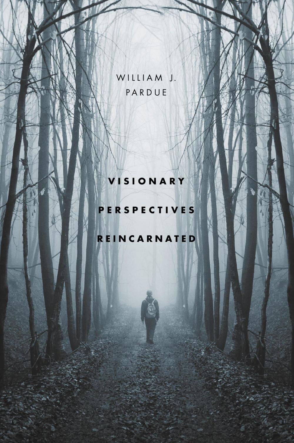 Big bigCover of Visionary Perspectives Reincarnated