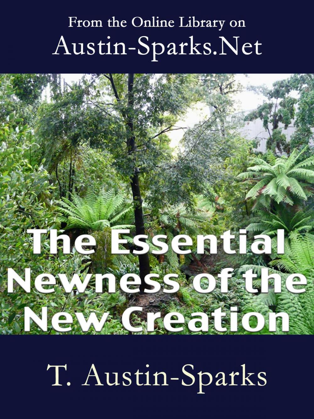 Big bigCover of The Essential Newness of the New Creation