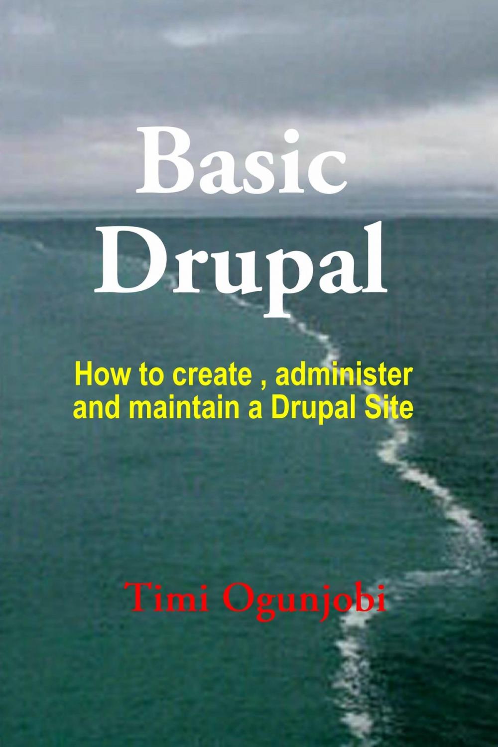 Big bigCover of Basic Drupal