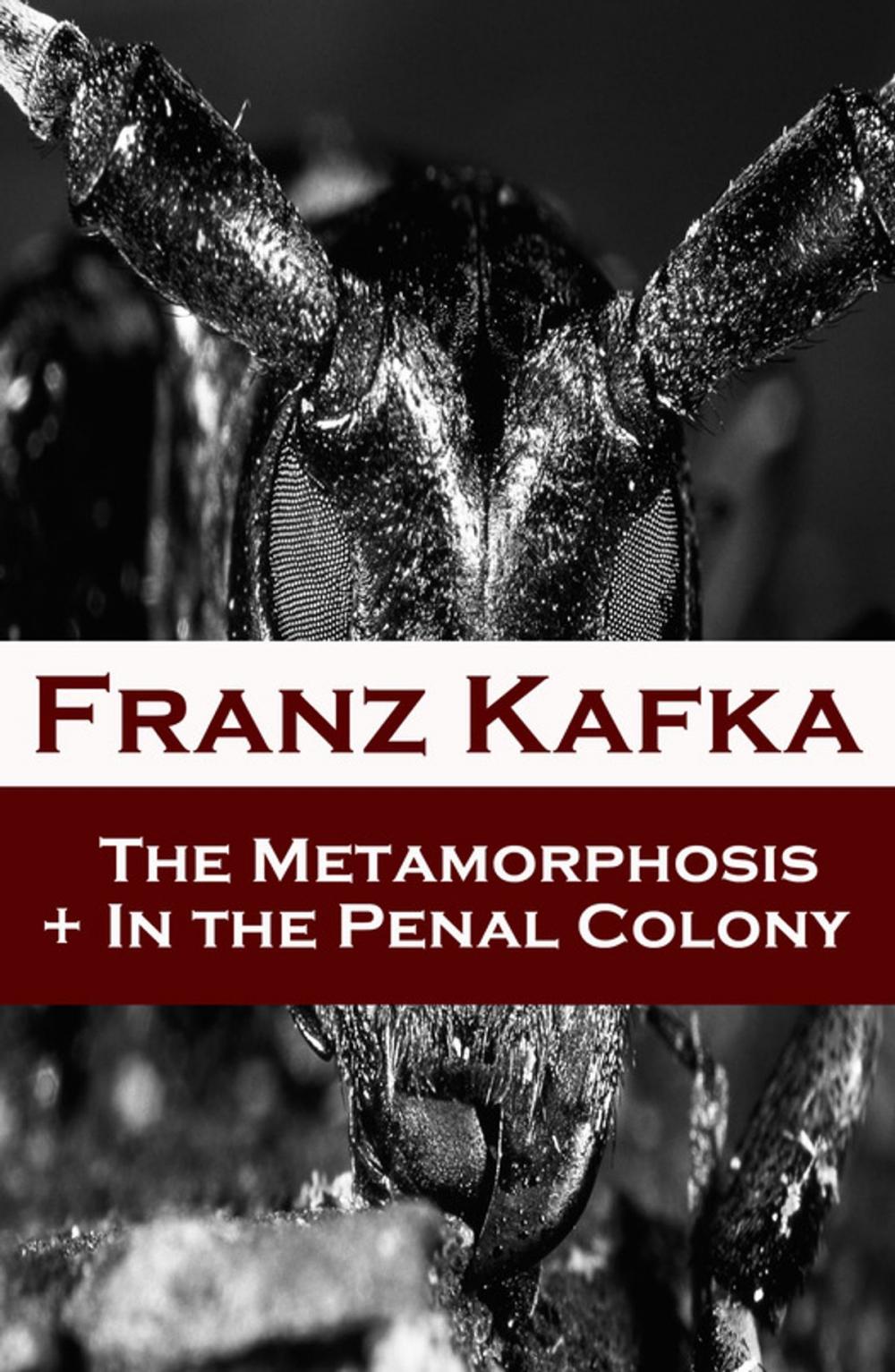 Big bigCover of The Metamorphosis + In the Penal Colony (2 contemporary translations by Ian Johnston)