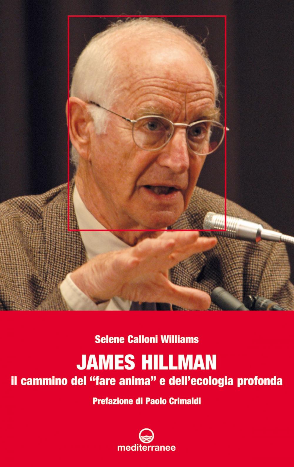 Big bigCover of James Hillman