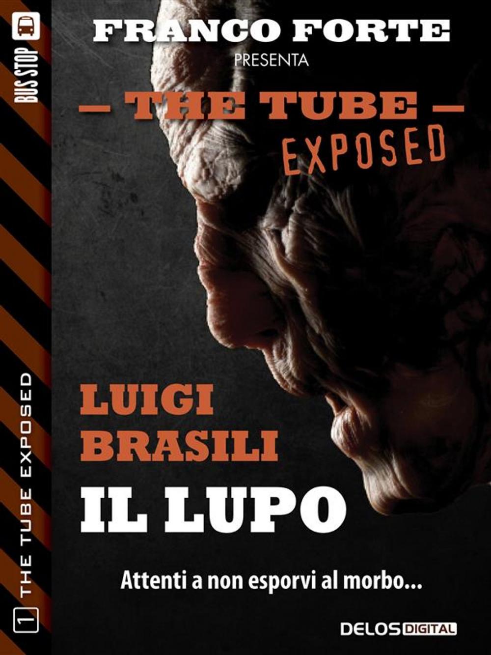 Big bigCover of Il lupo