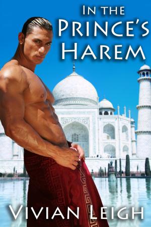 Cover of In the Prince's Harem