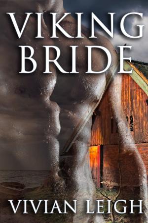 Book cover of Viking Bride
