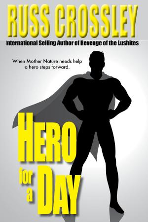 Cover of the book Hero For A Day by Russ Crossley