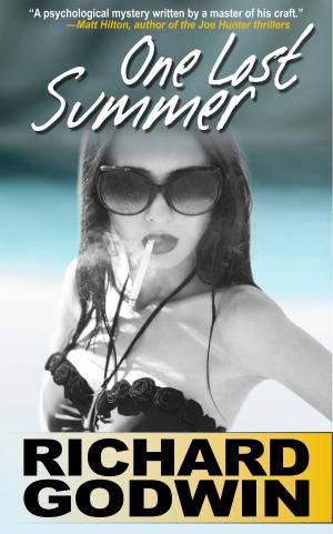 Cover of One Lost Summer