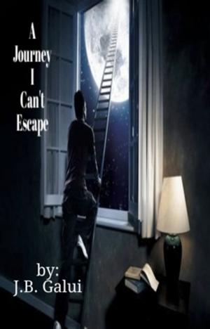 Cover of the book A Journey I Can't Escape by Lance Larson