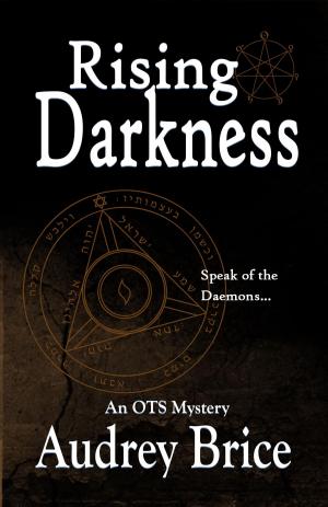 Cover of the book Rising Darkness by Anne O'Connell