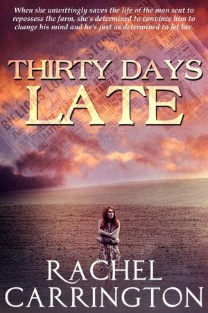 Cover of the book Thirty Days Late by D.K. Abbott