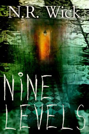 Cover of the book Nine Levels by N.R. Wick