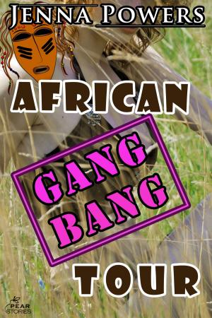Cover of the book African Gangbang Tour by CL Rowell
