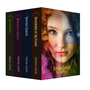 Cover of the book The Last Year Boxed Set by Trisha Leigh