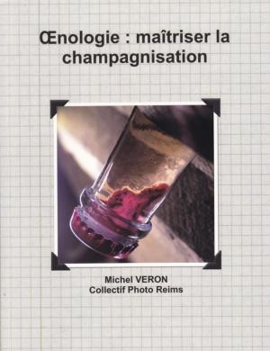 Cover of the book Œnologie : maîtriser la champagnisation by Collectif