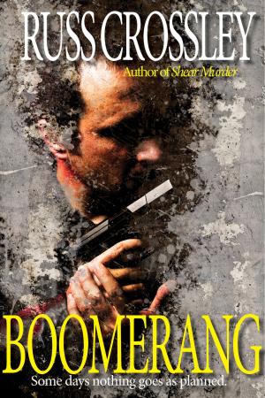 Cover of the book Boomerang by Colin Youngman