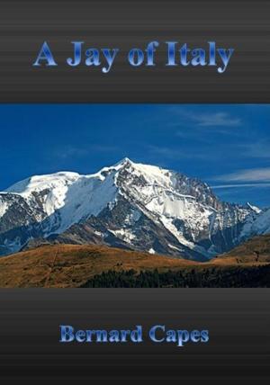 Cover of the book A Jay of Italy by Thomas Dixon