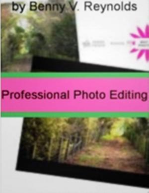 Cover of the book Professional Photo Editing by Clarissa J. Love