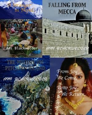 Cover of A Cultural Adventure (4 cultural stories)