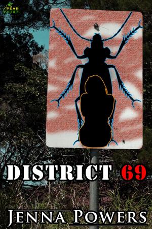 Cover of the book District 69 by Jenna Powers
