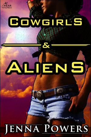 Book cover of Cowgirls and Aliens