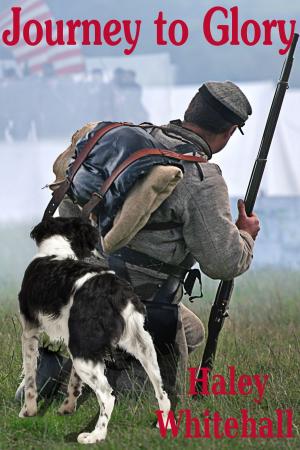 Cover of the book Journey to Glory: A Story of a Civil War Soldier and his Dog by Debbie Shiwbalak M.A. CCC-SLP, Alpin Rezvani M.A. CCC-SLP