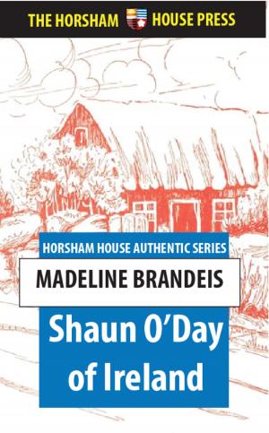 Book cover of Shaun O'Day of Ireland