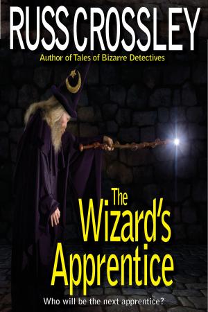 Cover of the book The Wizard's Apprentice by Abby Fukuto, Jay Fukuto