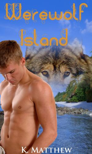 Cover of the book Werewolf Island by Cathy X