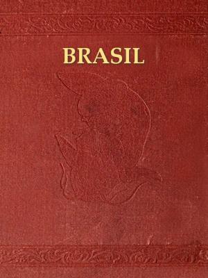 Cover of Indice Chronologico dos factos mais notaveis da Historia do Brasil desde seu descobrimento em 1500 ate 1849