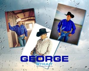 Book cover of The True Story of George Strait