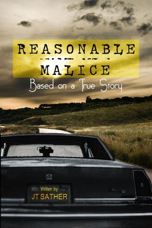 Cover of the book Reasonable Malice by Myke Edwards