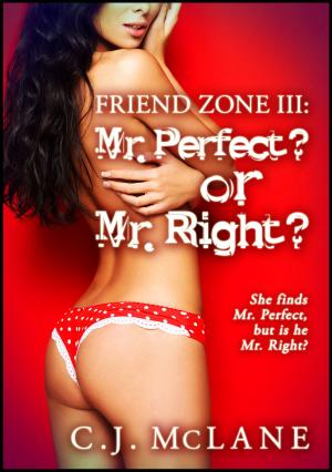 Book cover of Mr Perfect? or Mr Right?: Friend Zone 3