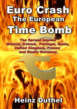 Book cover of The €uro Crash - European Time Bomb