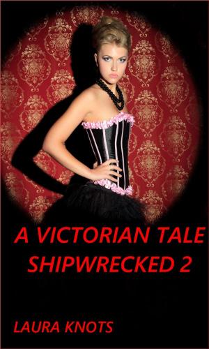 Book cover of A Victorian Tale Shipwrecked 2