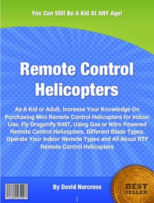 Cover of the book Remote Control Helicopters by Jessica A. Attaway