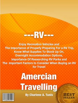 Cover of the book RV Amercian Travelling by Michael R. Sanders