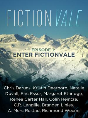 Cover of the book Fictionvale by Michael Alexander