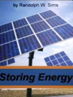Cover of the book Storing Energy by Arnodo Wilsinki