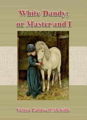 Cover of the book White Dandy; or Master and I by Arthur M. Winfield