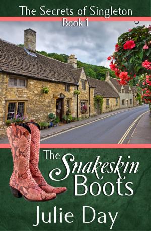 bigCover of the book The Snakeskin Boots by 