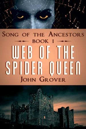 Cover of the book Web of the Spider Queen by Derek Ebersviller