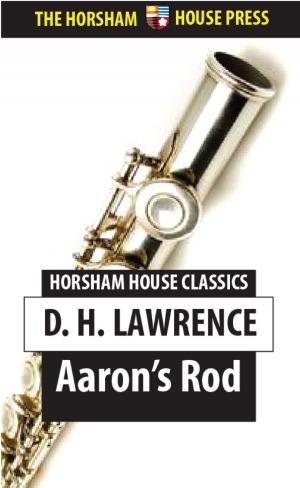 Cover of the book Aaron's Rod by Henry James