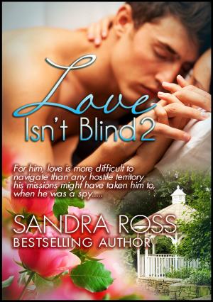 Cover of the book Love Isn't Blind 2 by G.J. Winters