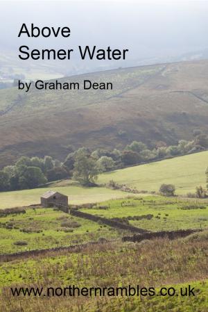 Book cover of Semer Water