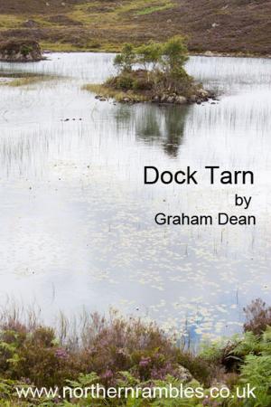 Cover of the book Dock Tarn by Ian Crossland